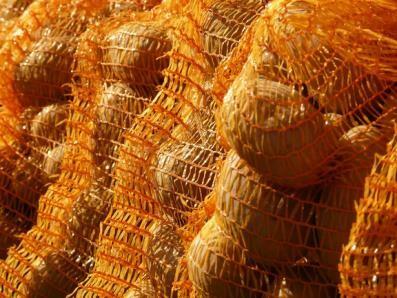 Mesh sacks for potato packaging